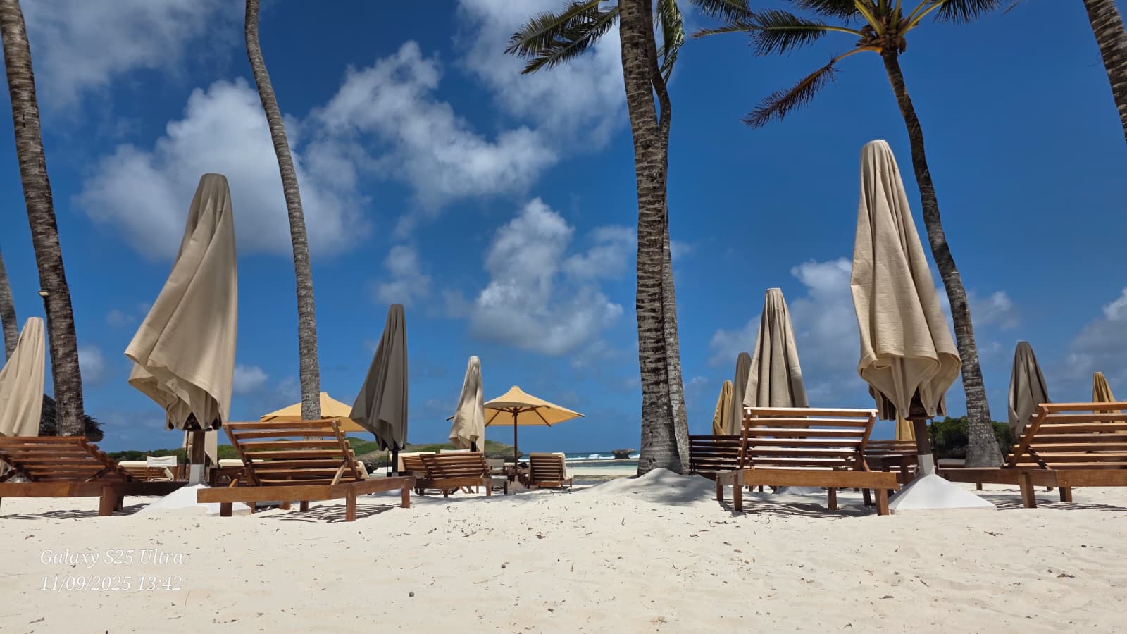 Safari Pumbaa — Atollo Sardegna 2 a Watamu